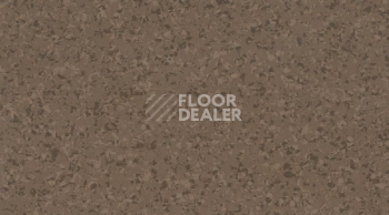 Линолеум Gerflor Mipolam Affinity 4444 Havana Brown фото 1 | FLOORDEALER